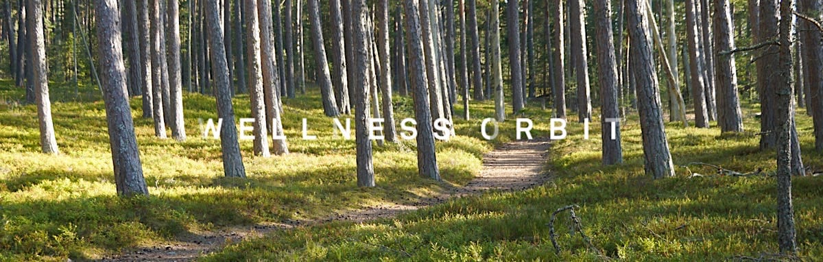 Pick your path and then keep your focus! Pick your path and keep your focus!