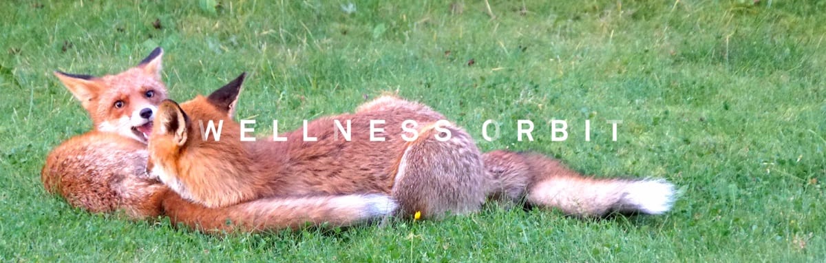 Life on your terms: when approached consciously, work becomes another form of play.