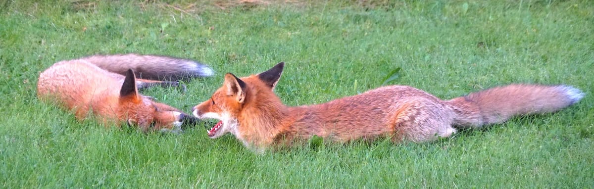 The ability to relax strengthens focus and allows you to deliver your best results.