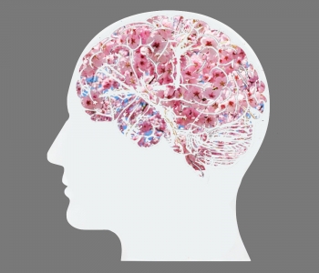 The Benefits of Personal Responsibility and Mental Wellness in the Workplace