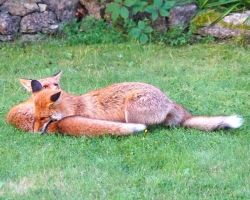 How to Experience True Self and Find the Joy Of Life?