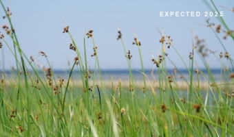 KEEPING CALM MIND <i>Expected release: 2025</i>