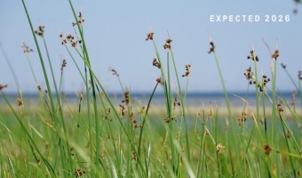 DEAL WITH ANXIETY <i>Expected release: 2026</i>